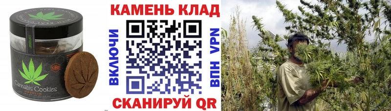 Canna-Cookies марихуана  Вяземский 