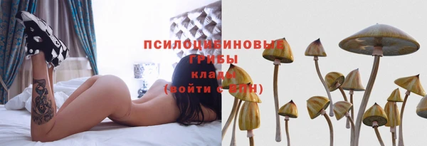 сатива Балабаново